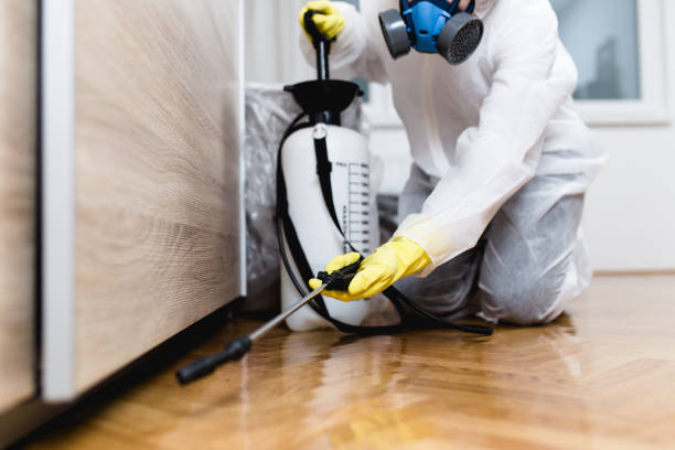 Best Termite Control Services  in Gratton, VA