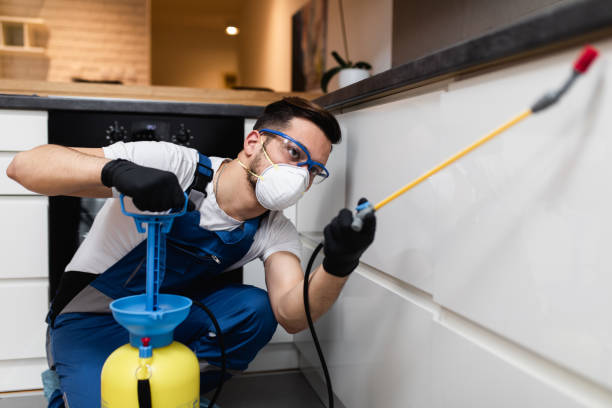 Trusted Gratton, VA Pest Control Experts