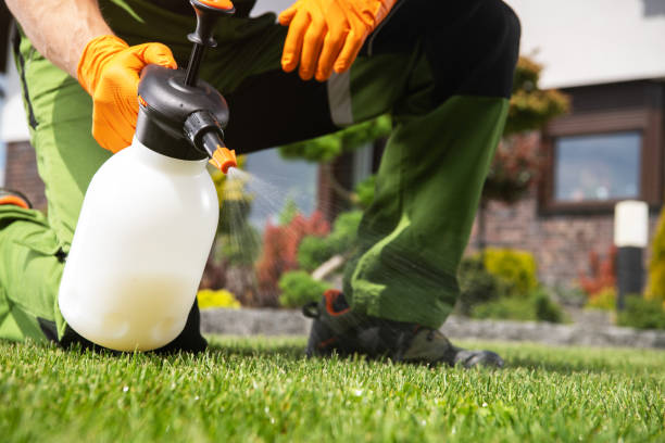Best Pest Control for Homes  in Gratton, VA