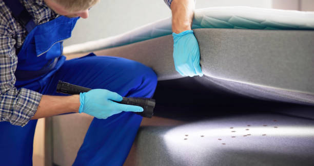 Best Affordable Pest Control Services  in Gratton, VA