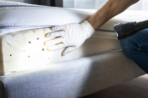 Best Pest Inspection Near Me  in Gratton, VA
